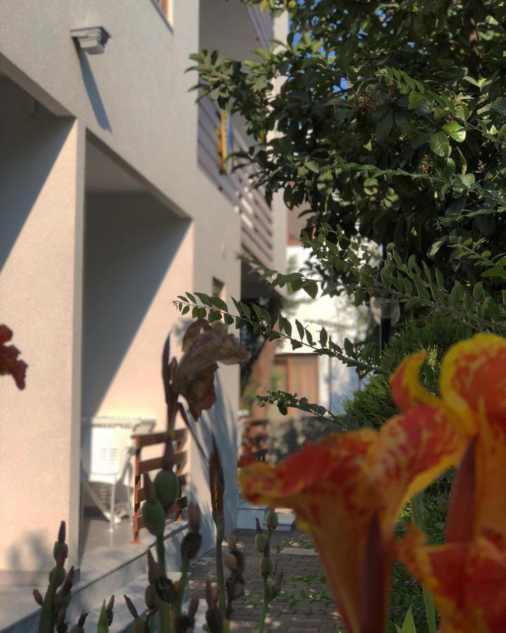 Hotel Athina Velipojë Exteriör bild